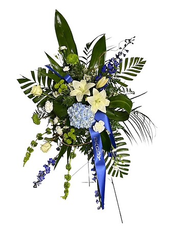 Blue and White Spray
